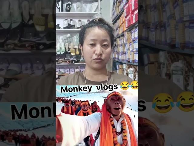 viral monkey 