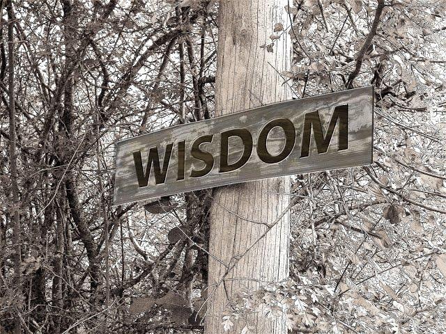 What is Wisdom? Philosophy and Psychology of Wisdom - Part 1