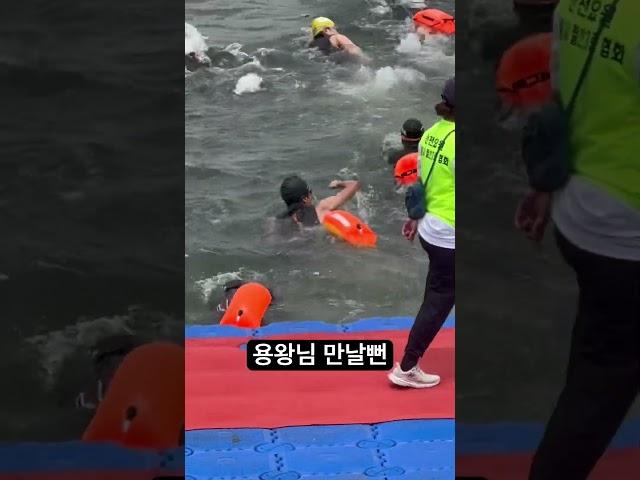 한강수영을 만만하게 본 자의 최후 #쉬엄쉬엄한강3종 #F1 #모의고사 #대선