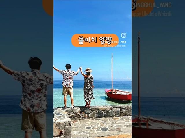 쏠비치 양양 양양 쏠비치 ‍️ 오션플레이