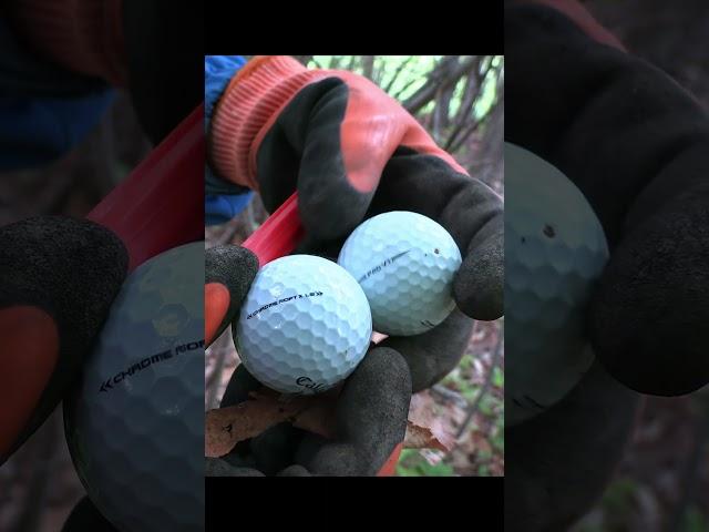 These New Golf Ball Retrievers are CRAZY!