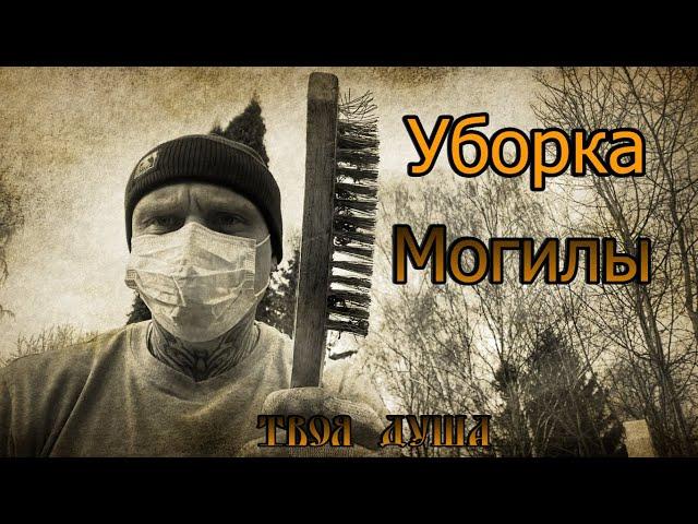 Уборка Могилы  Уборщик могил  Твоя Душа  #уборкамогил #россия #новости