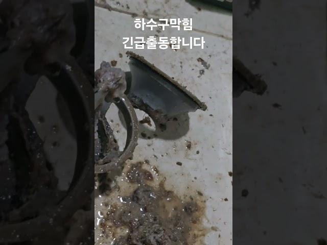 하수구막힘 배수구 청소 해주셔야 합니다 #하수구막힘 #고압세척 #집수정청소 #맨홀청소