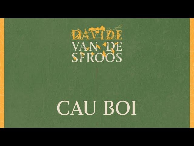 Davide Van De Sfroos - Cau Boi (Official Audio)