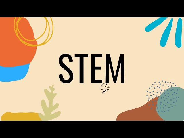 STEM strand