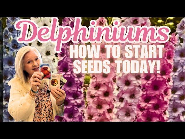 EPIC BUDGETGARDEN! SEED STARTING! 🩷Growing from seeds #delphinium #seeds #diy