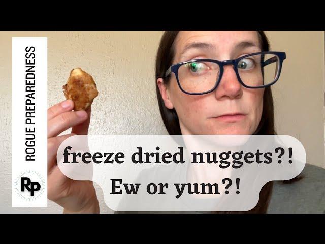 Can You REALLY Freeze Dry Chicken Nuggets?