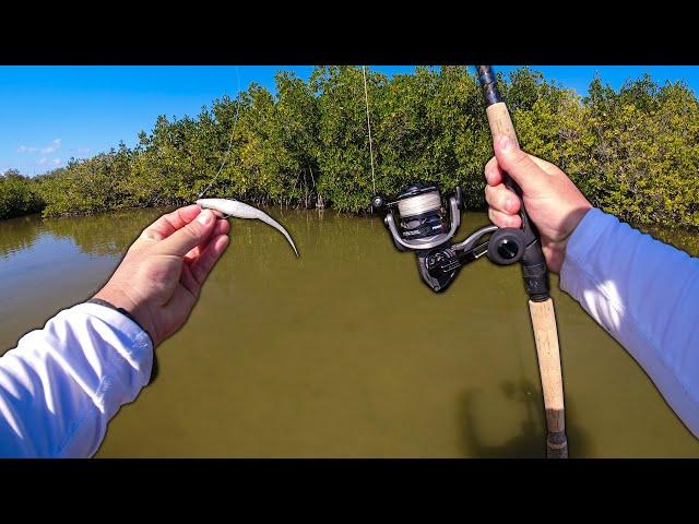 Fishing Florida Backwaters for Redfish and Snook with a Fluke!