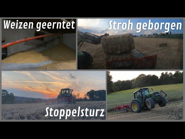 Getreideernte abgeschlossen | Vlog #47