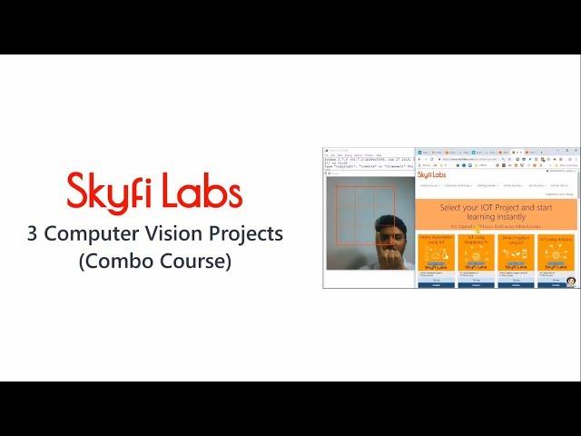 3 Computer Vision Projects (Combo Course) - Skyfi Labs Online Project-based Course