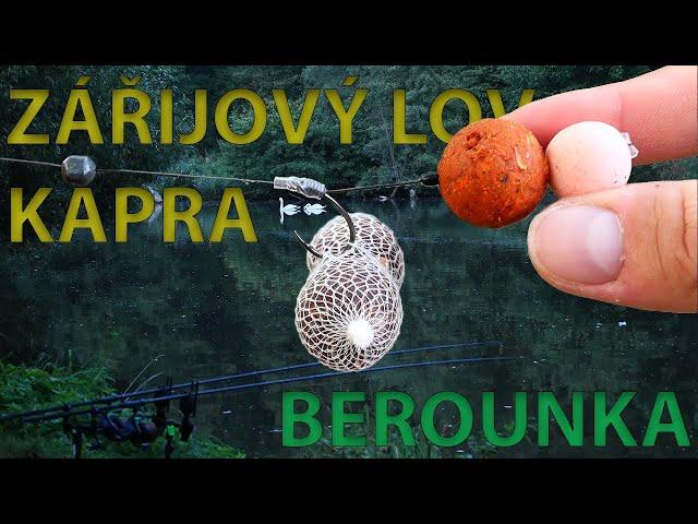 Lov Kapra - Řeka Berounka v září