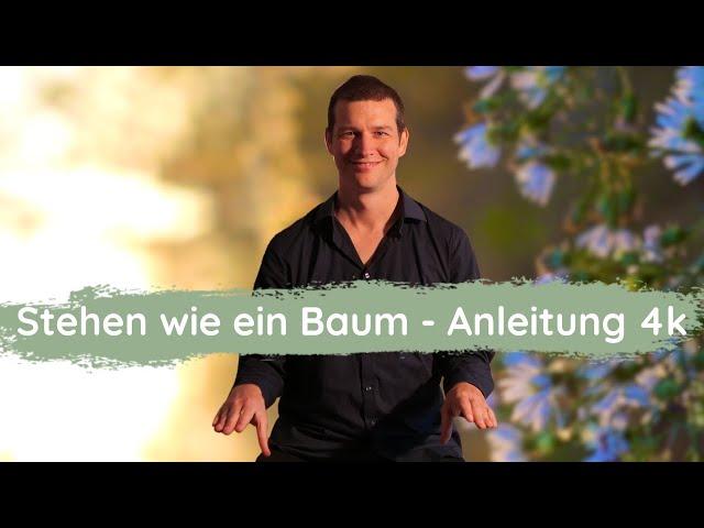 Stehen wie ein Baum 4k (Anfänger Kurs die 5 Übungen des Wudang Qi Gong)