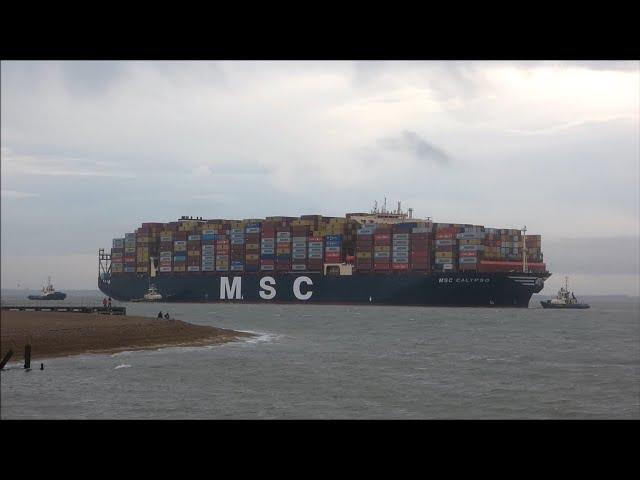 MSC Calypso arrives to the Port of Felixstowe from Malaysia via Cape of Good Hope 20th February 2025