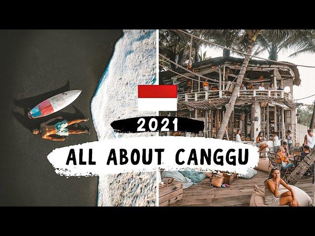 Canggu is the Best Place to Live in Bali (here's why)