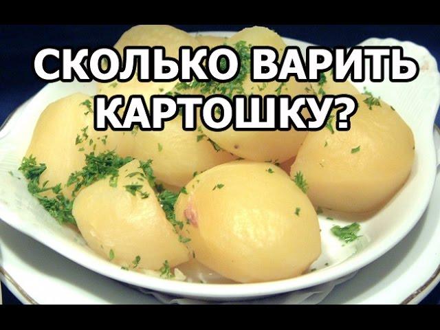 Сколько варить картошку. Сколько варится картошка