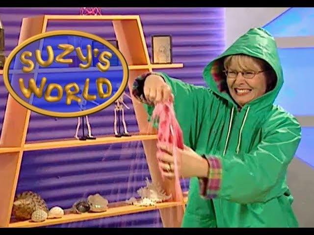 What makes things fizz? - Suzy's World