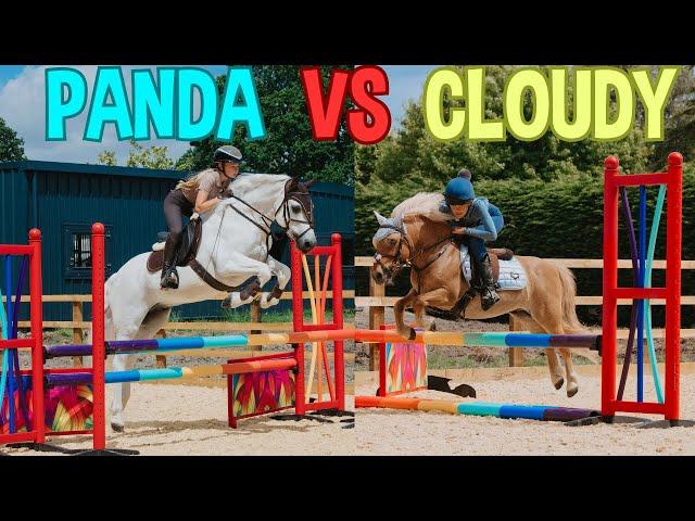 PANDA VS CLOUDY IN A SHOWJUMPING JUMP OFF CHALLENGE!!