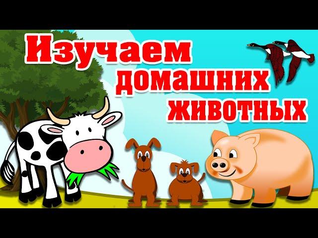 Домашние животные! ВИКТОРИНА для детей