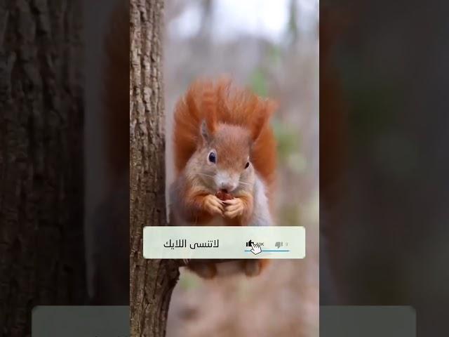 ١٩ مارس ٢٠٢٣(4)