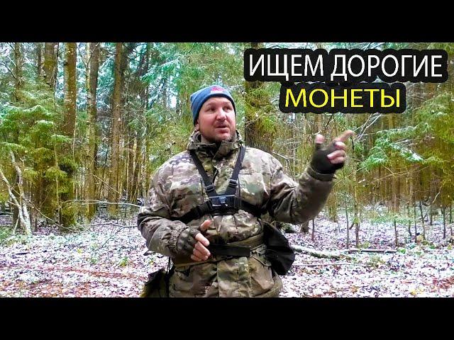 ИЩЕМ ДОРОГИЕ МОНЕТЫ. КОП В ЛЕСУ. КЛАДОИСКАТЕЛЬ РУСЯ