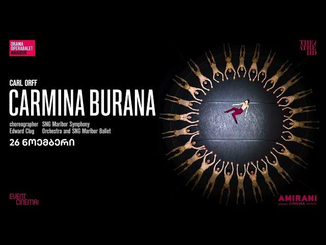 26 ნოემბერი - Carmina Burana by Edward Clug - ბალეტის კინოჩვენება