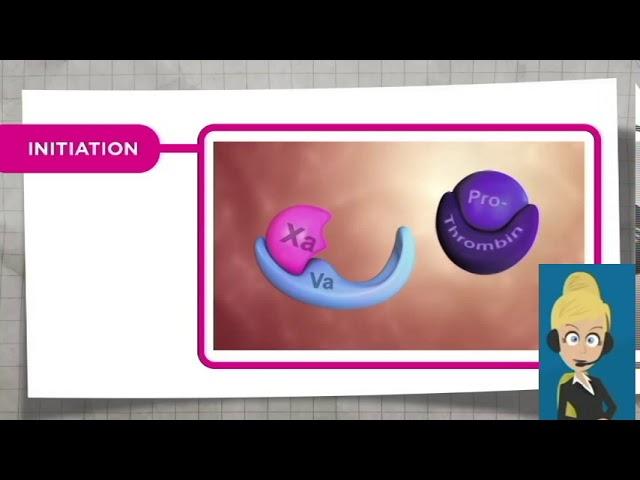 Hematology - Coagulation Cascade