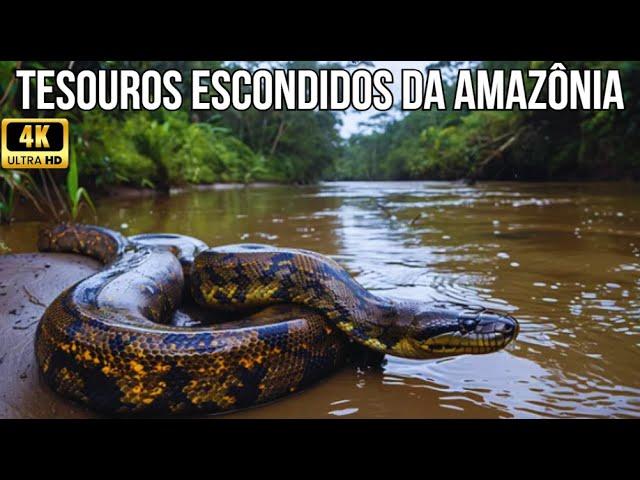 The Surprising Truth HIDDEN Inside the Amazon Rainforest – Amazon Wildlife