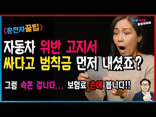 [운전자 꿀팁] 자동차 보험료 폭탄! 그동안 우리 모두 속았습니다.(이거 먼저 보면 안 당합니다)