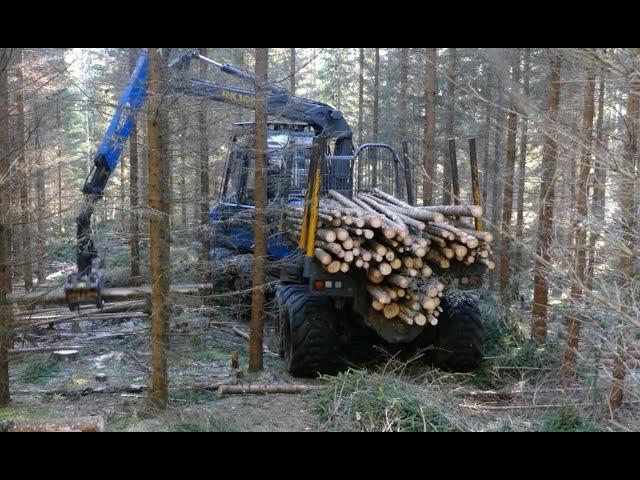 Thinning forwarder Rottne F10D in narrow strip roads