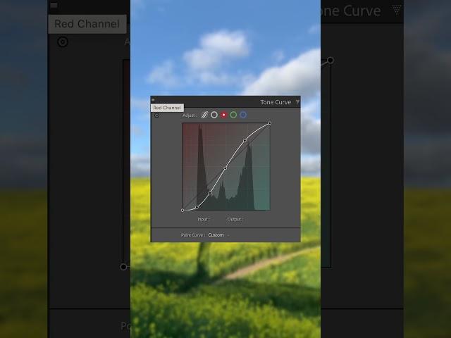 My Settings To Get The Film Look! #photography #adventure #filmphotography