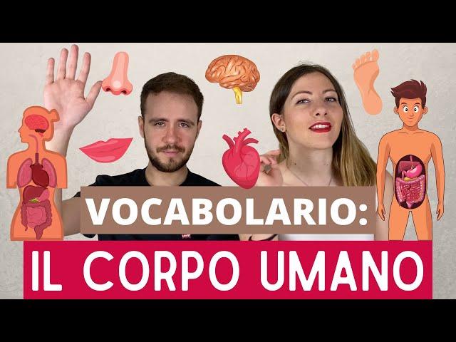 Vocabulary of the HUMAN BODY (parts & organs) in Italian (+ idioms) 