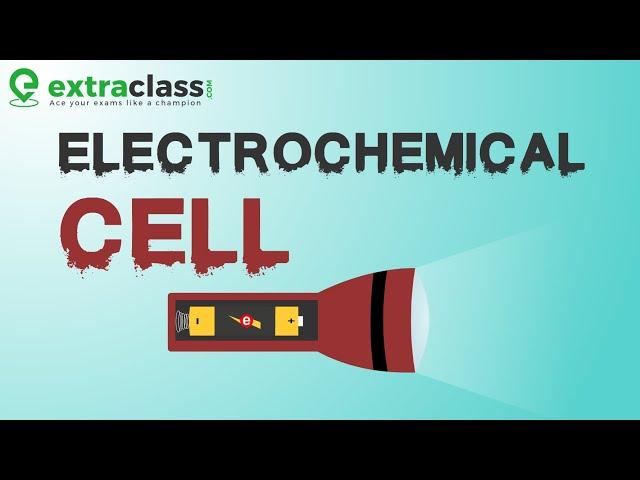 Electrochemical Cell Galvanic Cell | Extraclass.com