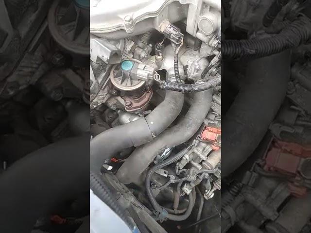 2007 Honda Odyssey Starter Location on 3.5l v6