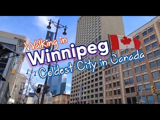 WALKING IN WINNIPEG DOWNTOWN || ROUTE 85 A.K.A. PORTAGE AVE || BISDAK IN CANADA