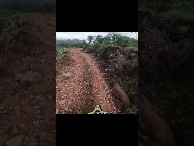 Riding Through the Heart of a Tea Plantation