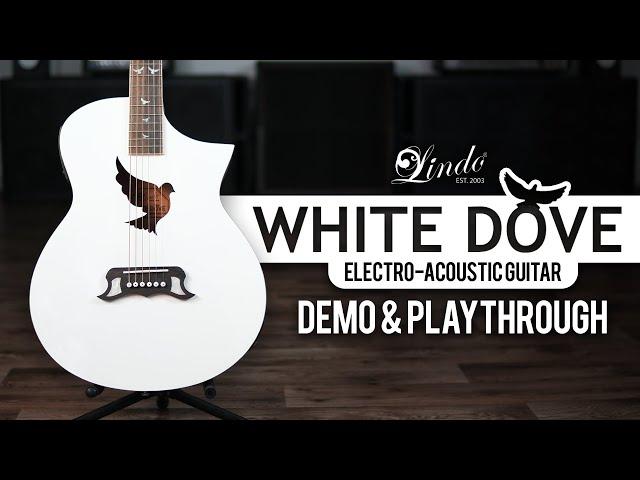 Lindo White Dove V3 Electro Acoustic Guitar | Demo and Playthrough