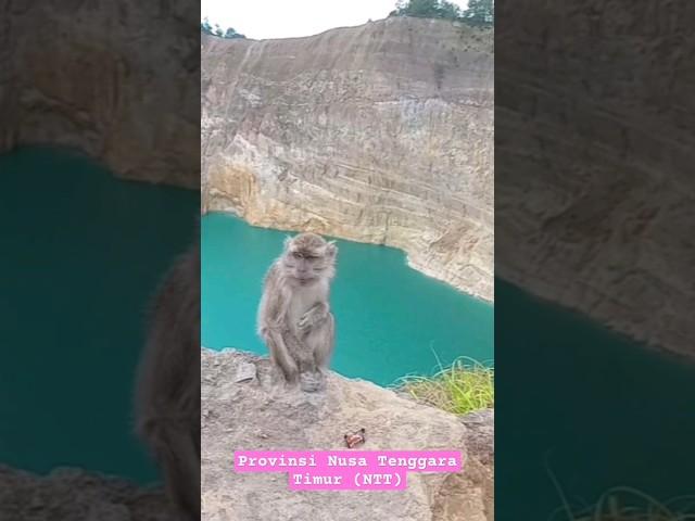 Memikat Danau Kelimutu di Pulau Flores