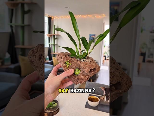 INSANE DIY Plant Creation 