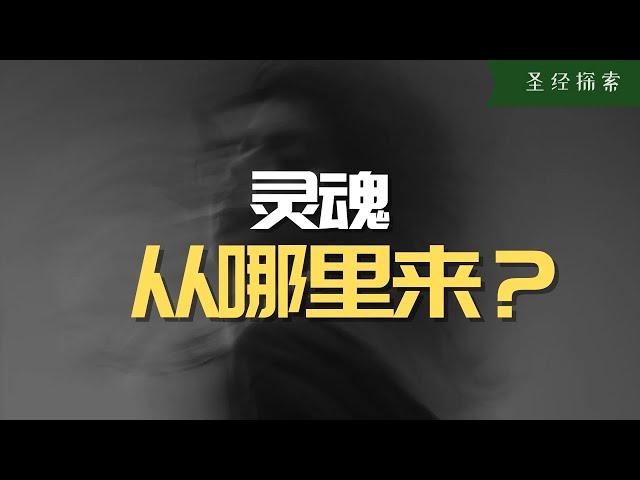 【探索】你知道嗎？靈魂其實就來自於那裏，寫有對於靈魂的答案的書