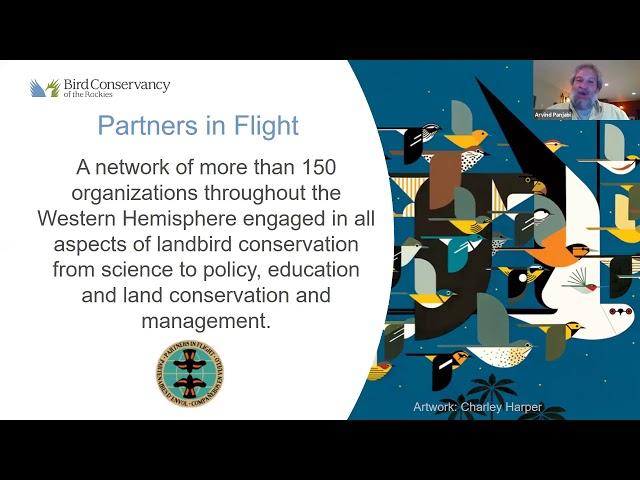 Partners in Flight: Foundation for Bird Conservation Action with Arvind Panjabi