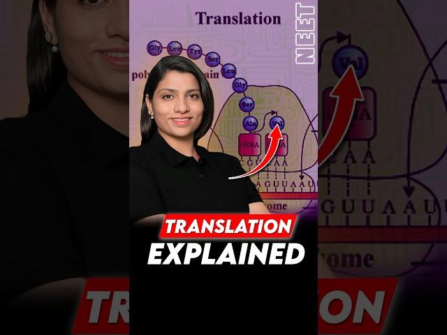 Translation Explained #neetbiology #neet2025 #riturattewal #translation