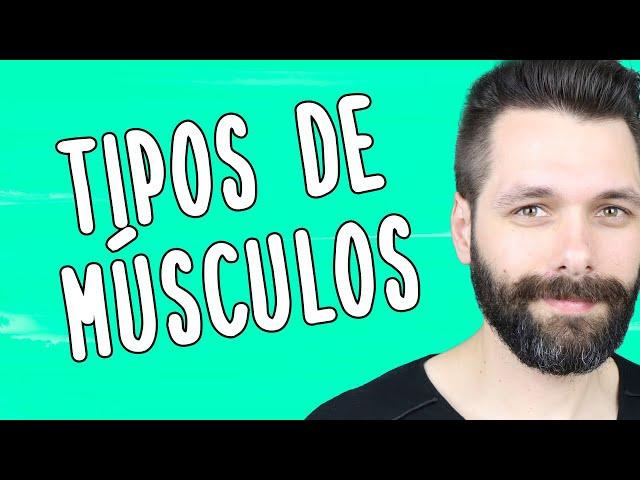 TIPOS DE MÚSCULOS - Resumo de Tecido Muscular | Biologia com Samuel Cunha