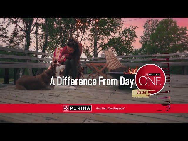 Purina ONE True Instinct Dog Food, Making A Difference From Day ONE