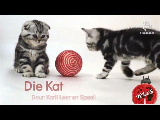 Die Kat