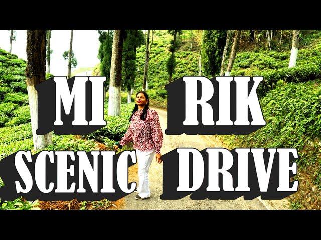 Mirik to Siliguri Scenic Drive || Mirik Road Trip Adventure || Darjeeling Tour