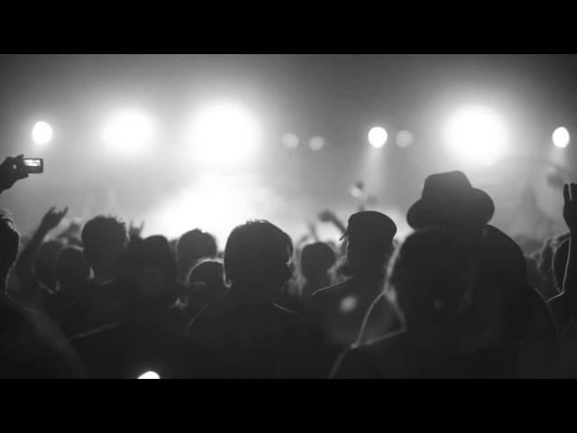 Realistic footage "People at the concert"