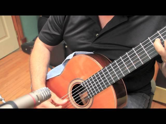 Savage Classical Guitar - Darren Hippner #622 - Ramirez Model