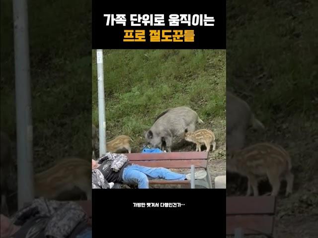 가족 단위로 움직이는 프로 절도꾼들