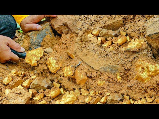 Gold Hunting! Finding and Digging up for Treasure worth millions dollar from Huge Nuggets of Gold.