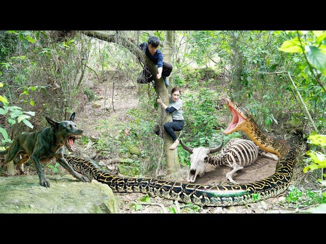 Smart DOG discovers giant ANACONDA and dry COW Skeleton - What will the female hunter do?